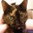 THIS PICTURE OF SAMANTHA IS MOVING TOO QUICKLY FOR YOU TO SEE!