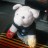 A really cute picture of Apple Pig on the train.  :@)