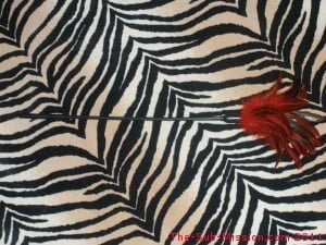 Feather Tickler, Long Shot